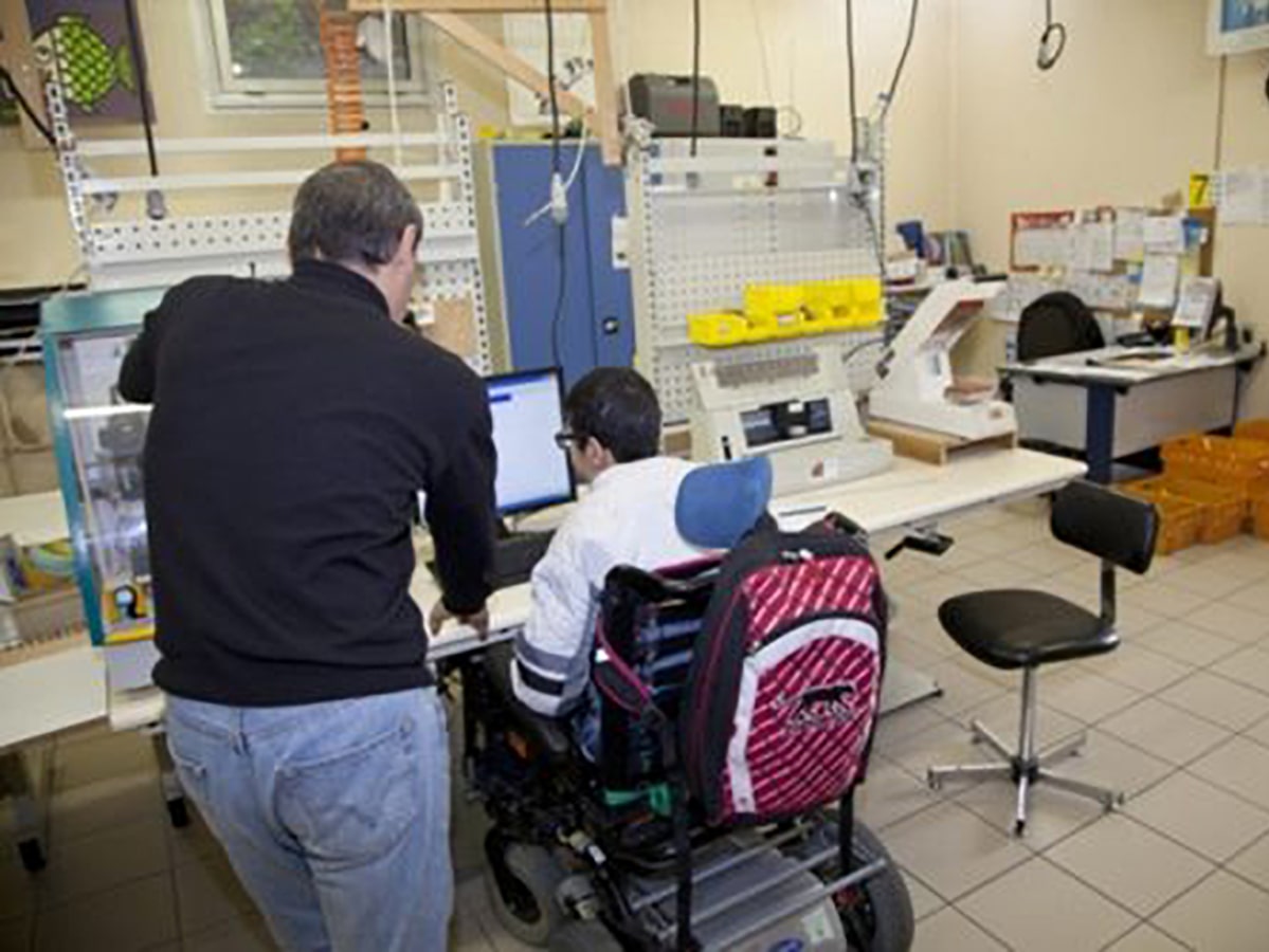 Offre de sous-traitance professionnelle