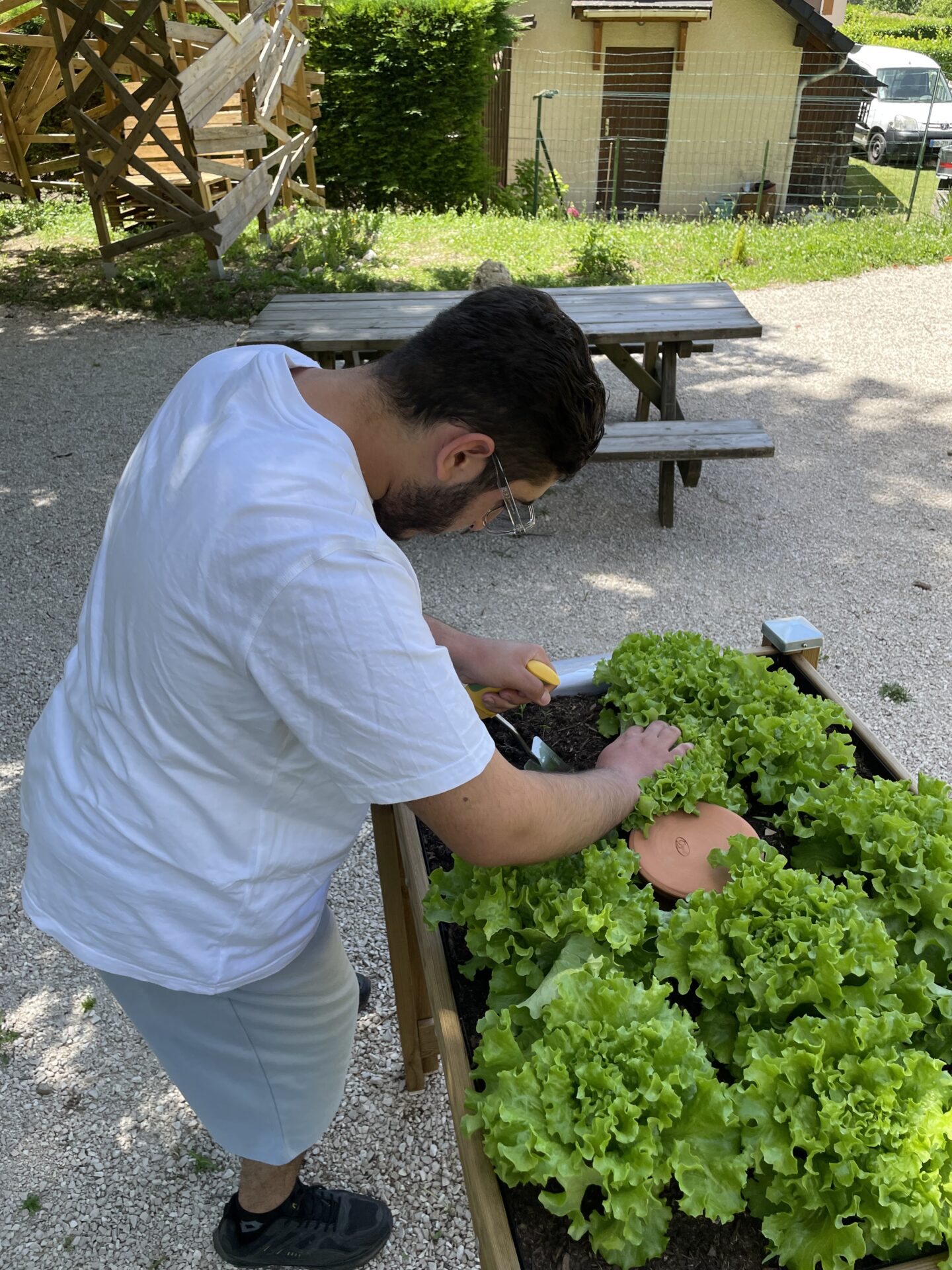 Du jardin à l’assiette : les premières récoltes sont arrivées !
